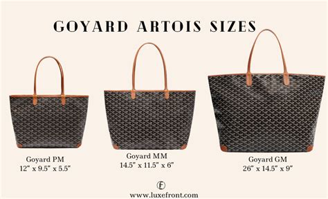 Goyard Artois pm vs mm